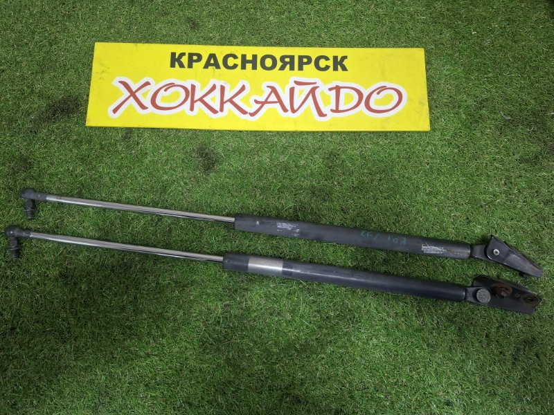 Амортизатор багажника Honda Odyssey RA1 F22B 10.1994 (б/у)