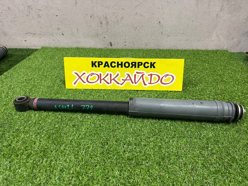 Амортизатор Toyota Ipsum ACM21W 2AZ-FE 10.2003 задний (б/у)