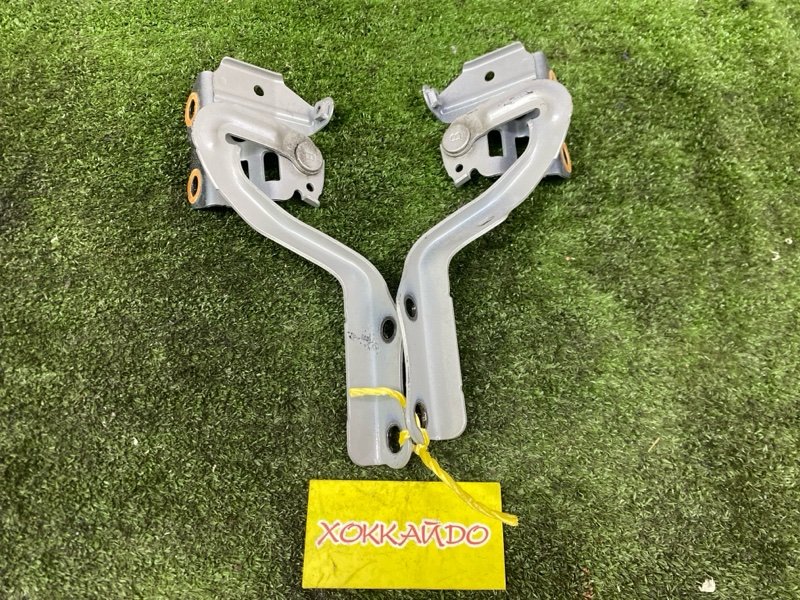 Петля капота Toyota Prius Alpha ZVW41W 2ZR-FXE 05.2011 (б/у)