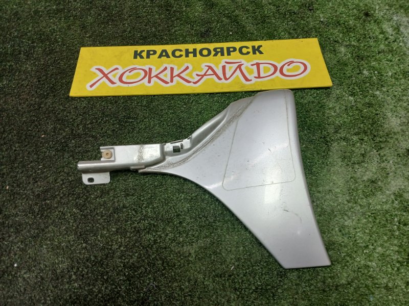 Накладка порога Toyota Ist NCP60 2NZ-FE 05.2002 задняя правая (б/у)