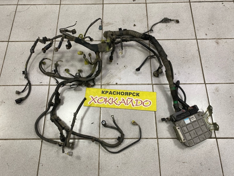 Электропроводка мотора Toyota Noah ZRR75G 3ZR-FAE 06. 2007 (б/у)
