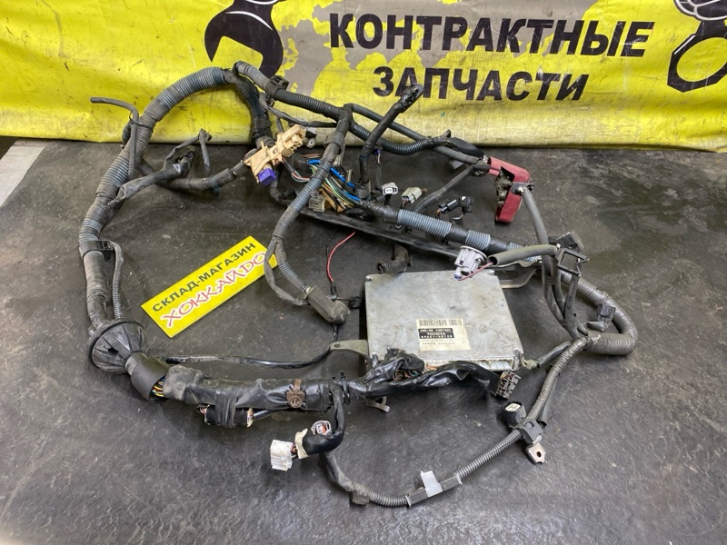 Электропроводка мотора Toyota Wish ZNE10G 1ZZ-FE 09.2005 (б/у)