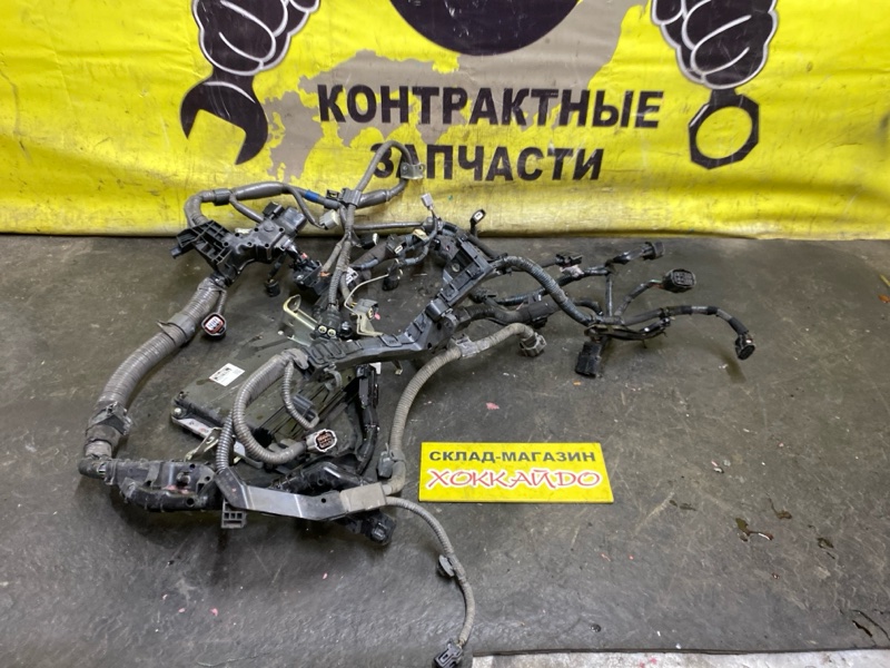 Электропроводка мотора Toyota Prius ZVW30 2ZR-FXE 01.2009 (б/у)