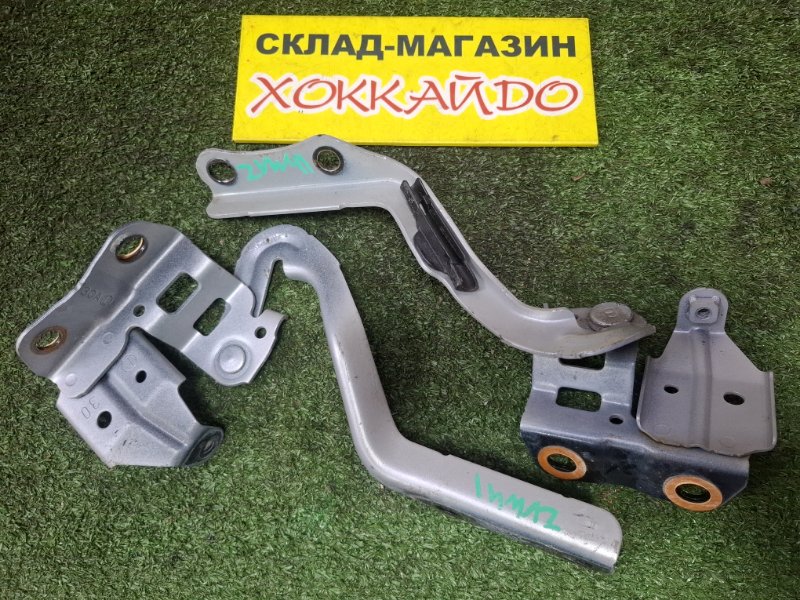 Петля капота Toyota Prius Alpha ZVW41W 2ZR-FXE 05.2011 (б/у)