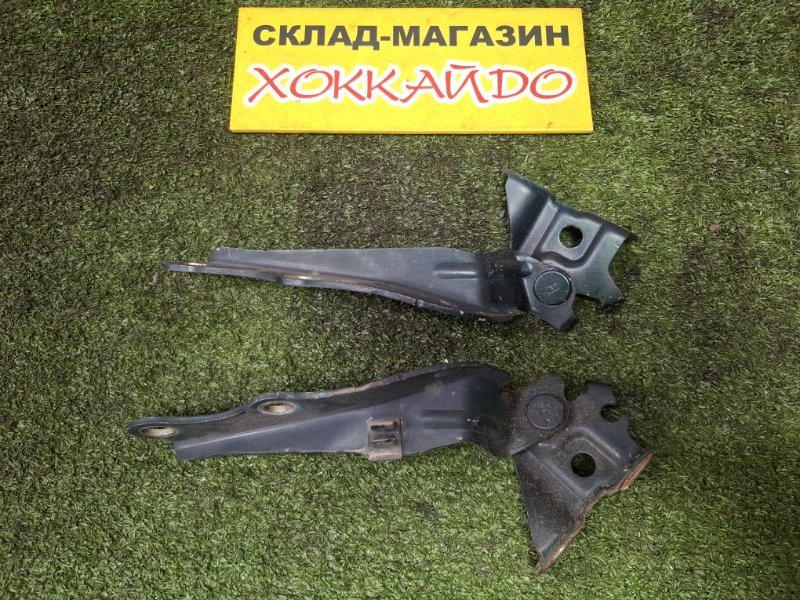 Петля капота Toyota Vista Ardeo SV50G 3S-FSE 07.1998 (б/у)
