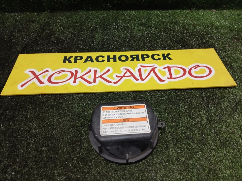 Накладка на фару Honda Stepwgn RF3 K20A 04.2001 (б/у)