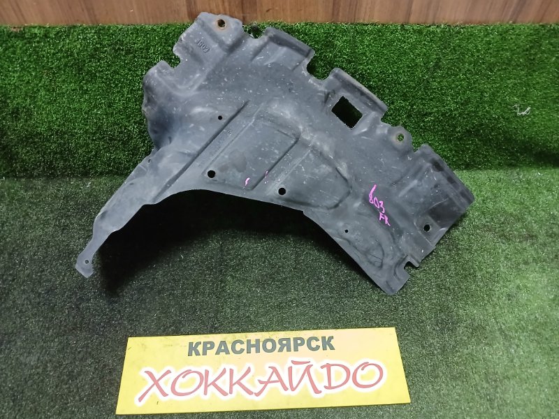 Защита ДВС Toyota Raum NCZ20 1NZ-FE 12.2006 правая (б/у)