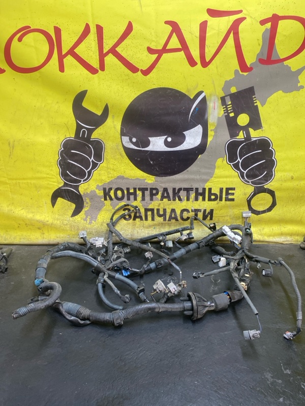 Электропроводка мотора Toyota Wish ZNE14G 1ZZ-FE 09.2005 (б/у)