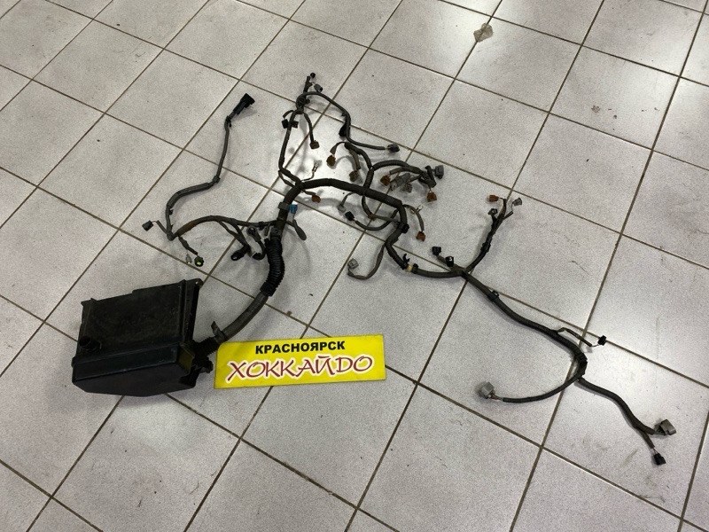 Электропроводка мотора Toyota Altezza GXE10 1G-FE 10.1998 (б/у)
