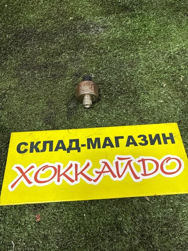 Датчик детонации Honda Stepwgn RF3 K20A 06.2003 (б/у)