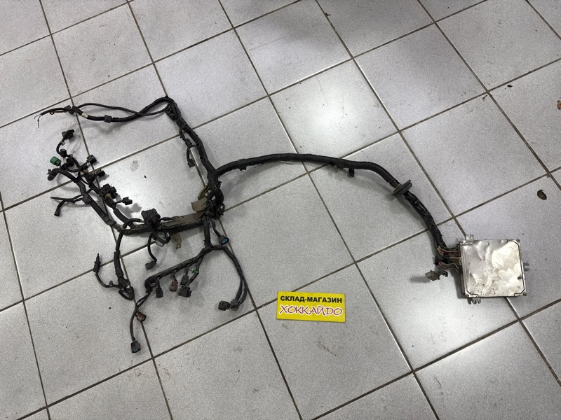 Электропроводка мотора Honda FIT GD1 L13A 06.2001 (б/у)