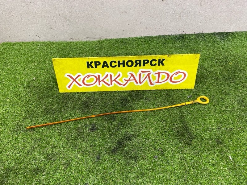 Щуп Toyota Probox NCP55V 1NZ-FE 07.2002 (б/у)