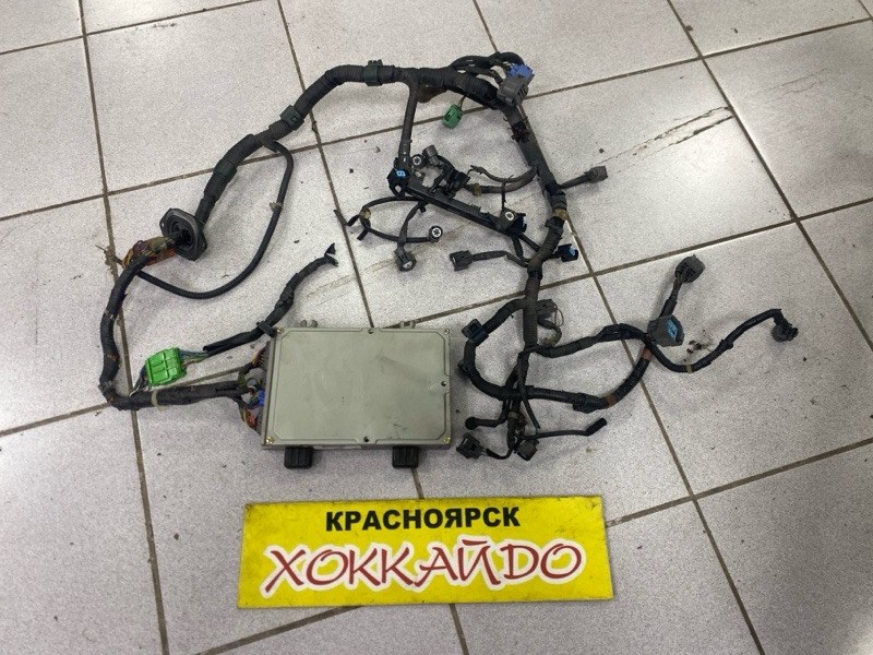Электропроводка мотора Honda Orthia EL2 B20B 06.1999 (б/у)