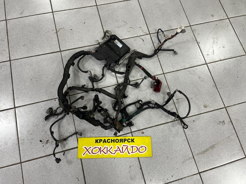 Электропроводка мотора Toyota Corolla Fielder NZE141G 1NZ-FE 10.2006 (б/у)