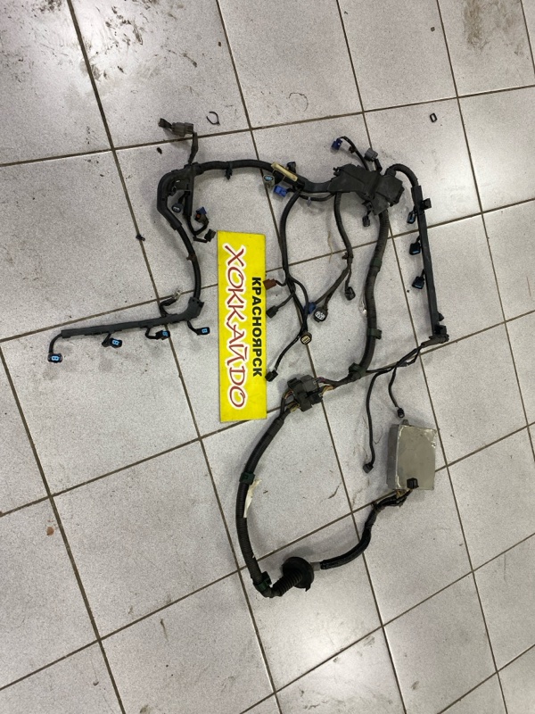 Электропроводка мотора Honda Elysion RR1 K24A 05.2004 (б/у)