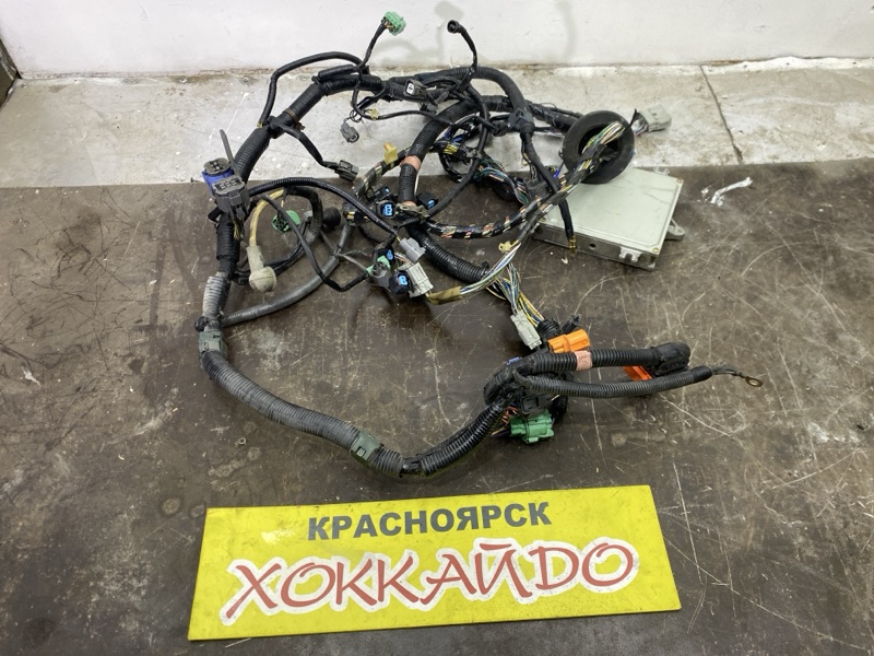 Электропроводка мотора Honda Stepwgn RF1 B20B 05.1999 (б/у)