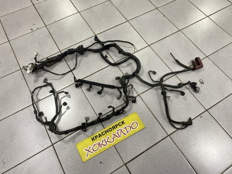 Электропроводка мотора Toyota Wish ZNE10G 1ZZ-FE 01.2003 (б/у)