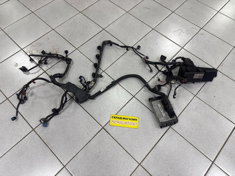 Электропроводка мотора Honda Stepwgn RG2 K20A 11.2007 (б/у)