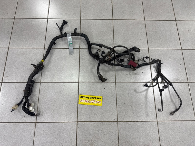 Электропроводка мотора Toyota Wish ZNE10G 1ZZ-FE 01.2003 (б/у)
