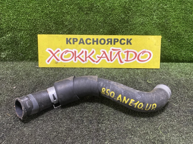 Патрубок радиатора Toyota Wish ANE10G 1AZ-FSE 09.2005 (б/у)