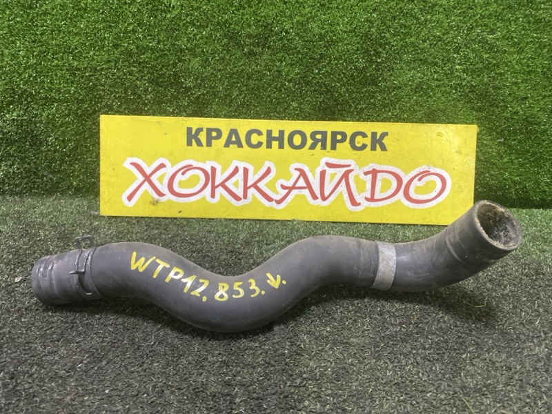 Патрубок радиатора Nissan Primera WTP12 QR20DE 07.2003 (б/у)