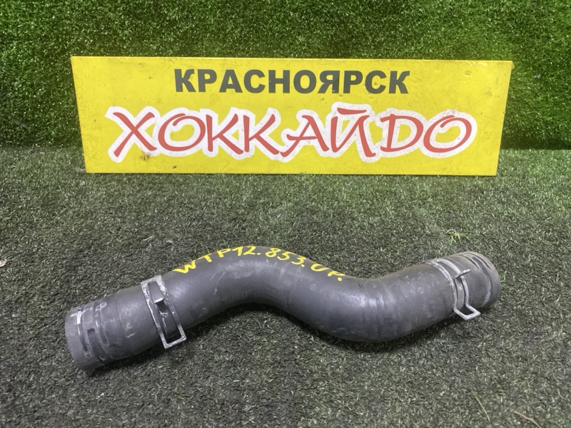 Патрубок радиатора Nissan Primera WTP12 QR20DE 07.2003 (б/у)