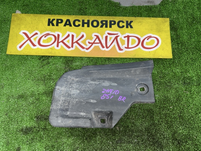 Подкрылок Toyota Wish ZNE10G 1ZZ-FE 09.2005 задний правый (б/у)