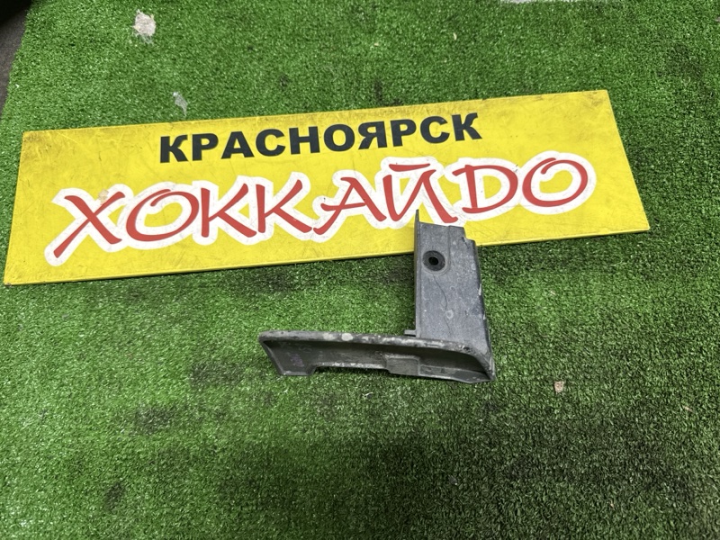 Брызговики Toyota Wish ZNE10G 1ZZ-FE 09.2005 задние левые (б/у)