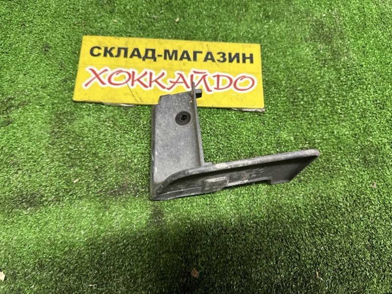 Брызговики Toyota Wish ZNE10G 1ZZ-FE 09.2005 задние правые (б/у)