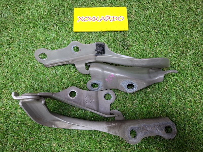 Петля капота Toyota Premio NZT240 1NZ-FE 12.2001 (б/у)