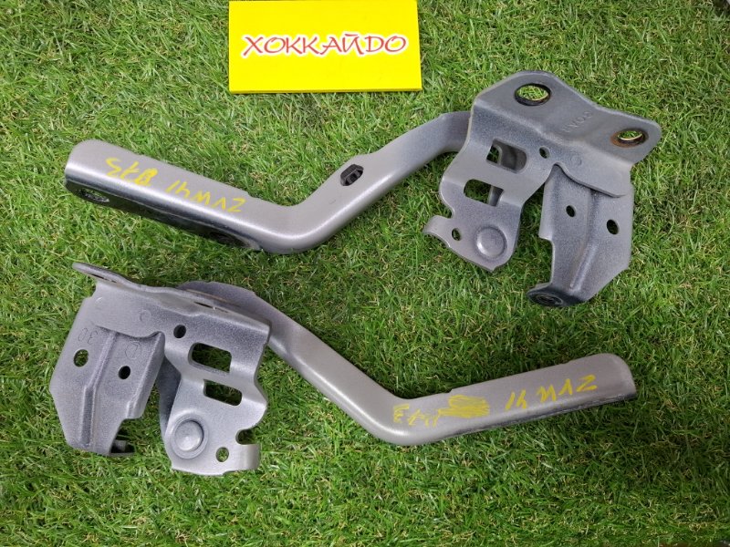 Петля капота Toyota Prius Alpha ZVW41W 2ZR-FXE 05.2011 (б/у)