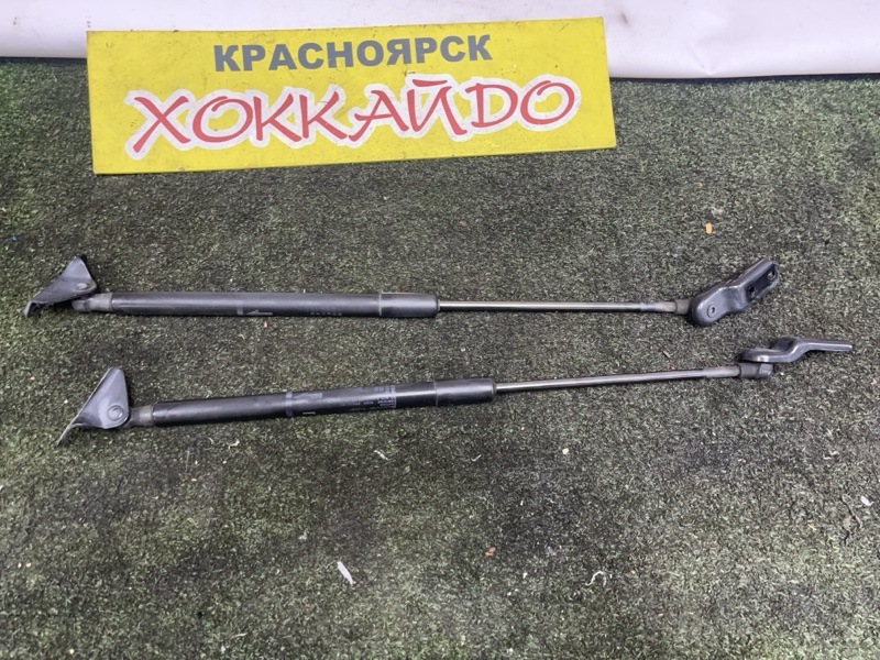 Амортизатор багажника Toyota Wish ZGE20G 2ZR-FAE 04.2009 задний (б/у)