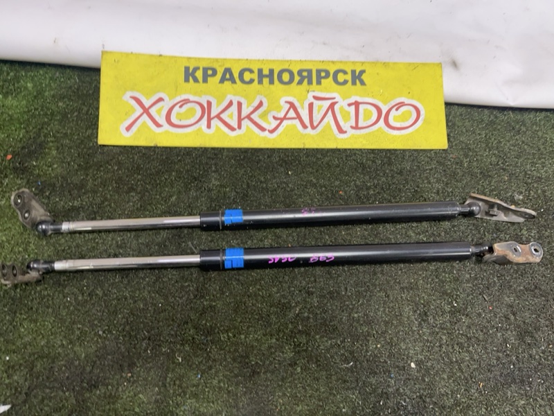 Амортизатор багажника Toyota Vista Ardeo SV50G 3S-FSE 04.2000 задний (б/у)