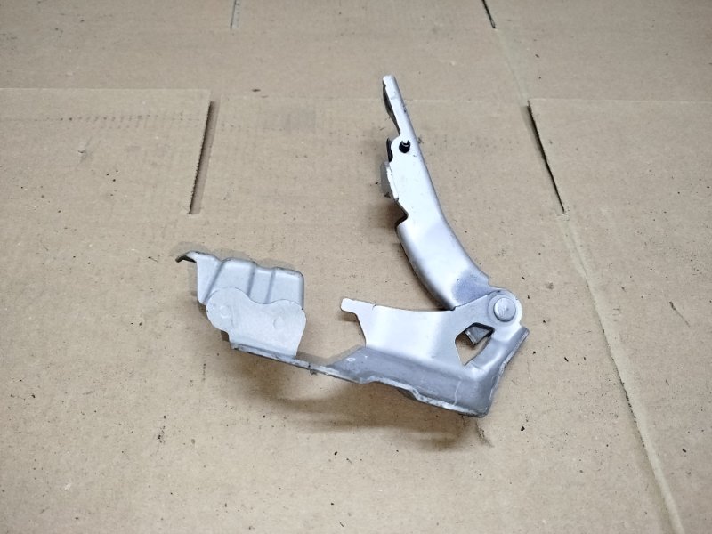 Петля капота передняя левая GS450H 2008 GWS191 2GRFSE Петля капота передняя левая GS450H 2008 GWS191 2GRFSE