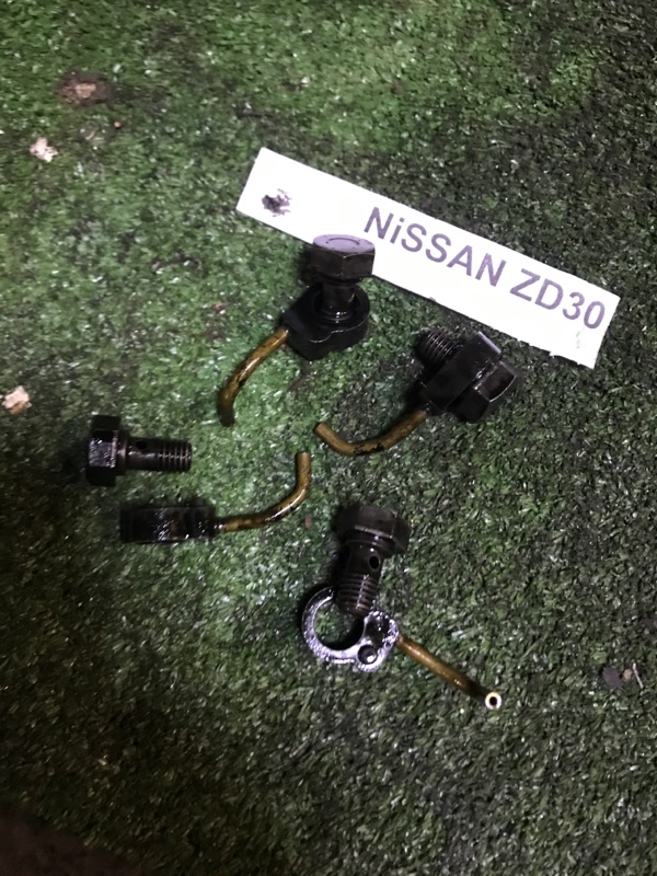Форсунка маслянная Nissan Elgrand AVWE50 ZD30