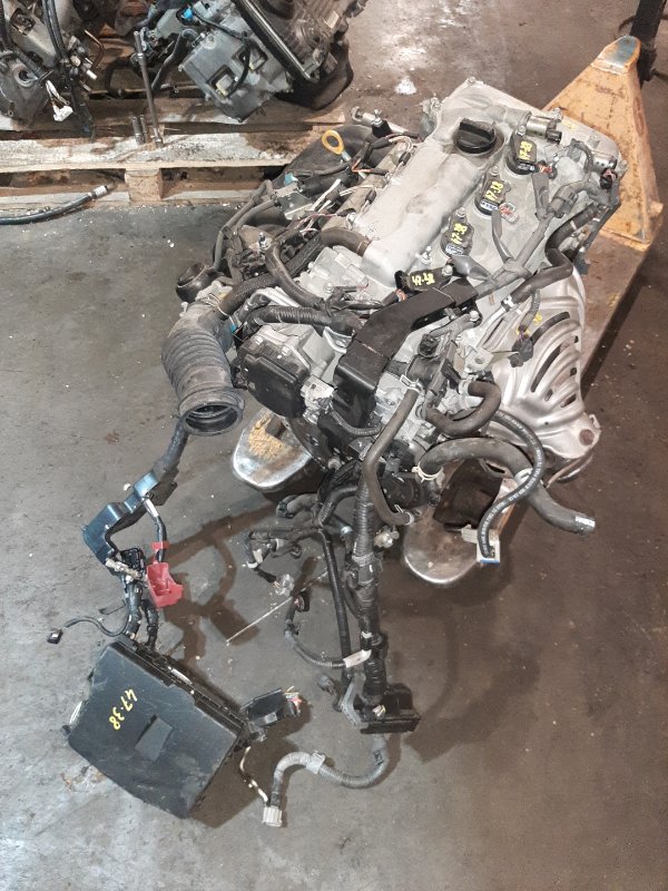 Проводка двигателя Toyota Avensis ZRT272 3ZR-FAE