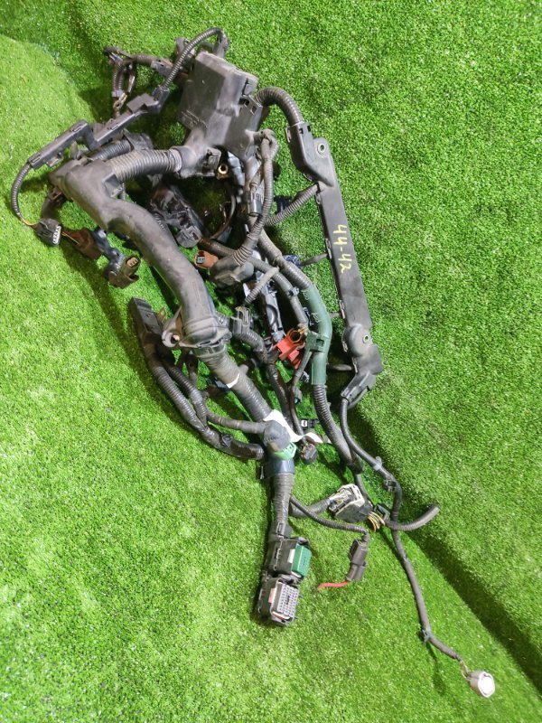 Проводка двигателя Honda Stream RN8 R20A (б/у)