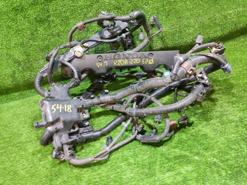 Проводка двигателя Honda Stepwgn RK6 R20A (б/у)