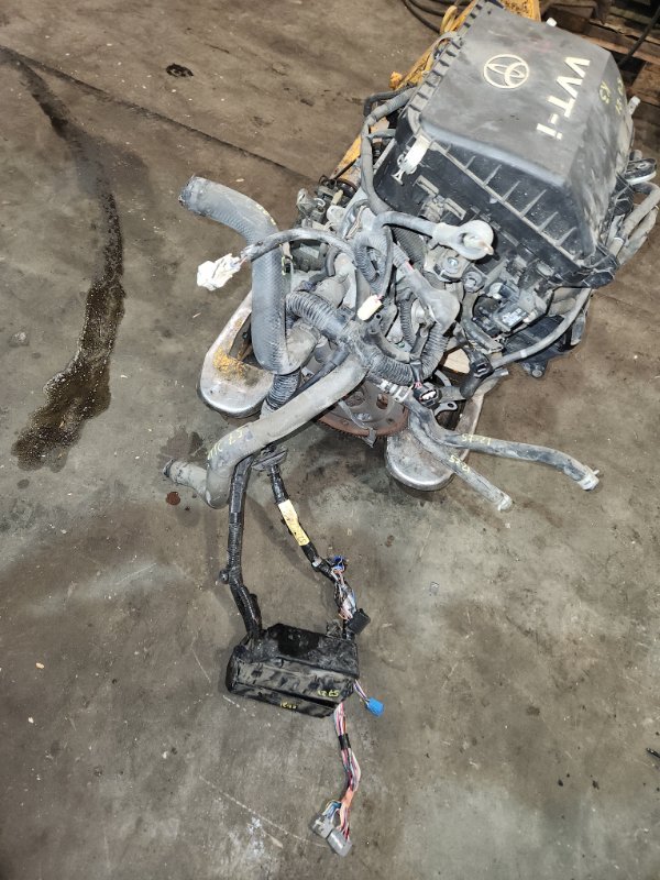 Проводка двигателя Toyota BB QNC25 K3-VE 2008 (б/у)