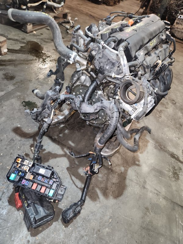 Проводка двигателя Honda Stepwgn RK1 R20A (б/у)