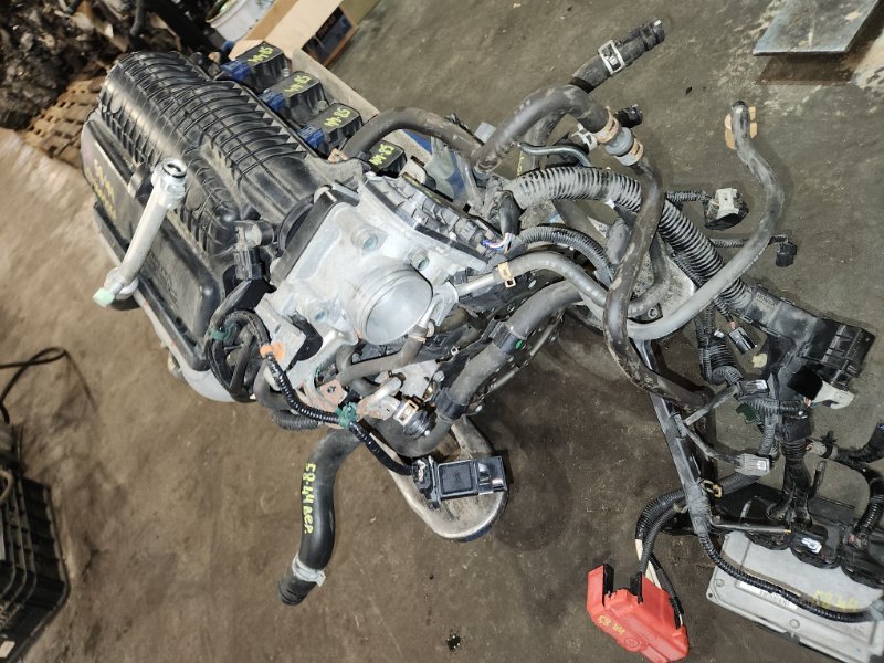 Проводка двигателя Honda FREED GB4 L15A 2011 (б/у)