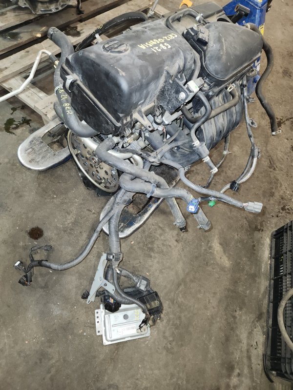 Проводка двигателя Nissan March AK12 CR12DE 2008 (б/у)