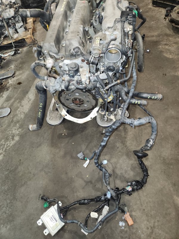 Проводка двигателя Nissan Avenir PW11 SR20DE 2000 (б/у)
