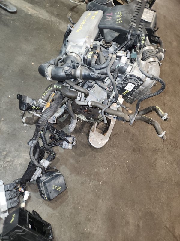 Проводка двигателя Nissan NOTE E12 HR12DDR 2012 (б/у)