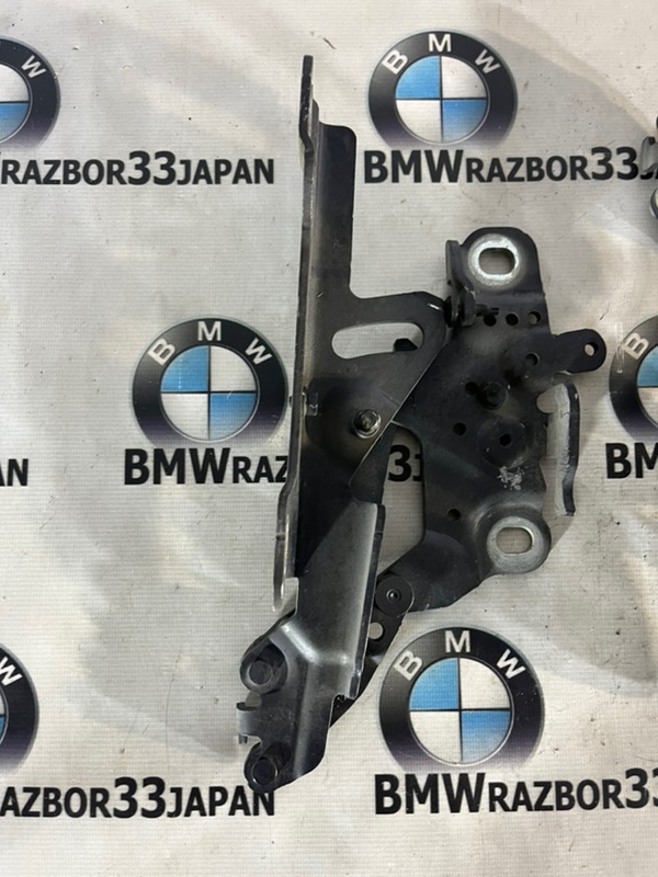 Петли капота BMW F30 Седан N20B20B