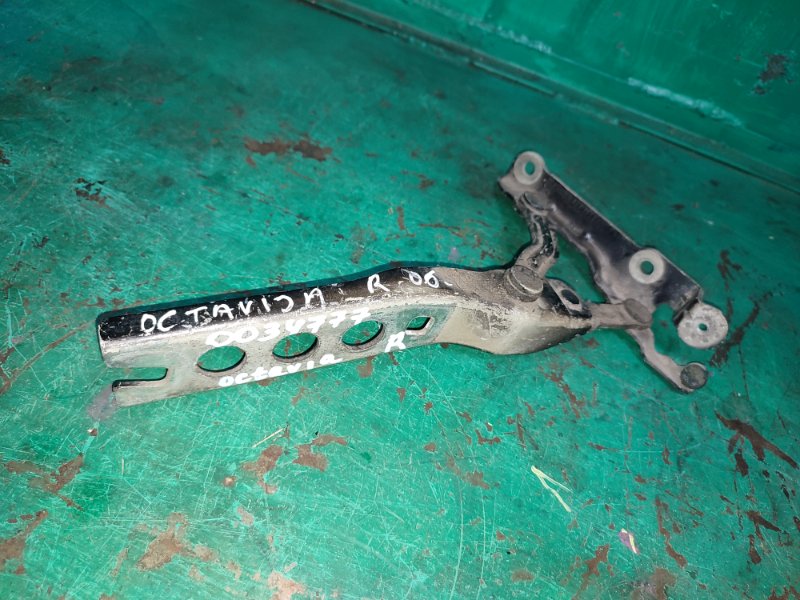 Петля капота правая Octavia A5 2004-2013