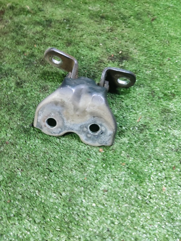 Петля двери передняя левая Hyundai Getz 2009 Рестайлинг 1.4 793151C200 Б/У