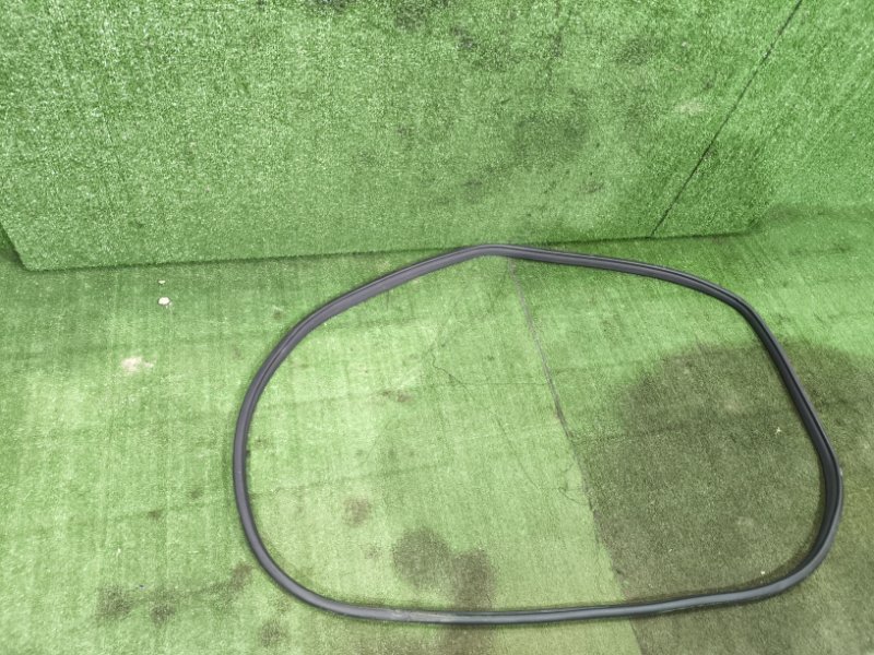 Уплотнитель дверного проема задний левый H6 2019 GW4G15B