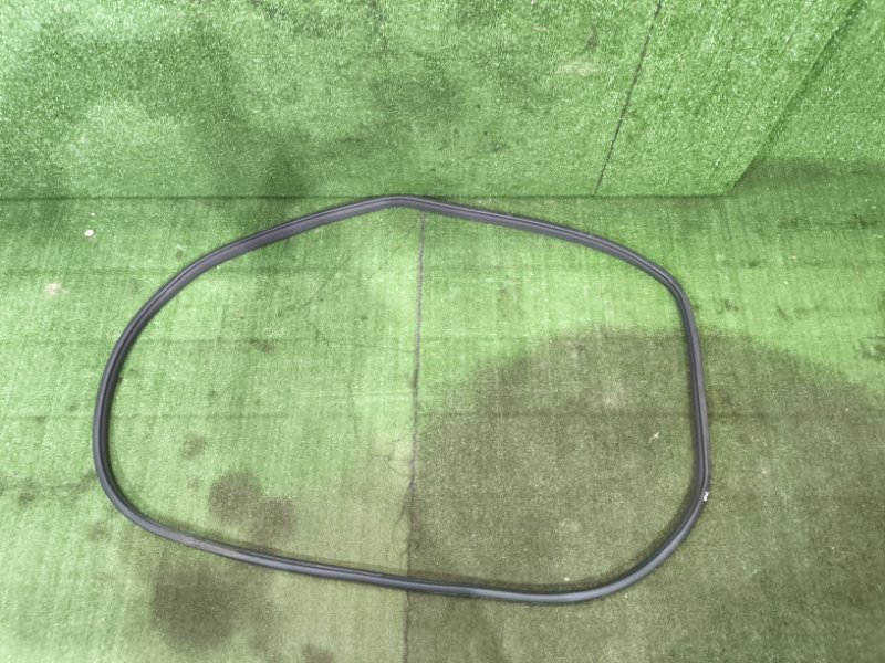 Уплотнитель дверного проема задний левый H6 2019 GW4G15B