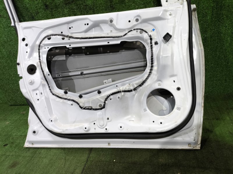 Дверь передняя левая H6 2019 GW4G15B